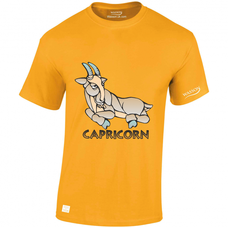 Capricorn  Horoscopes