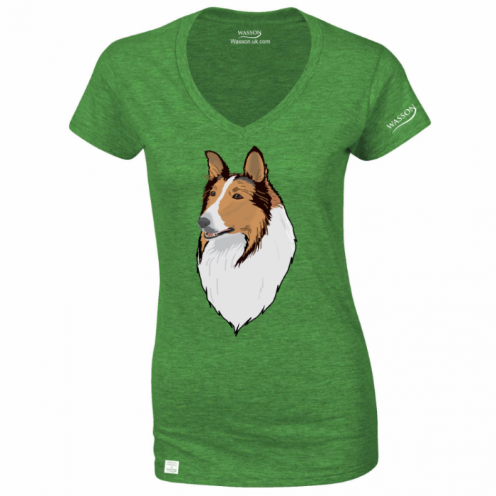 Rough Collie
