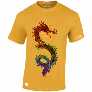 Dragon – T Shirt Desgin