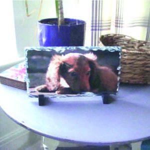 Bespoke rectangle shaped slate image dog pet image