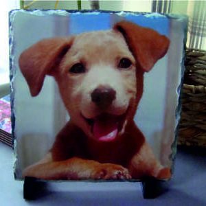 Bespoke square shaped slate image dog pet image