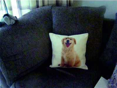 Personalised bespoke cushion covers, add your own image