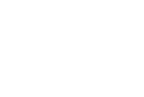 White Shark