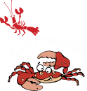 cornwall-crab