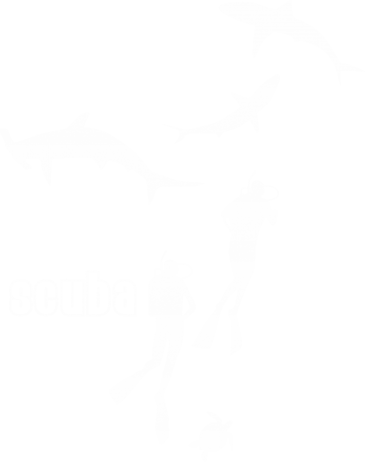 scuba-diving-white